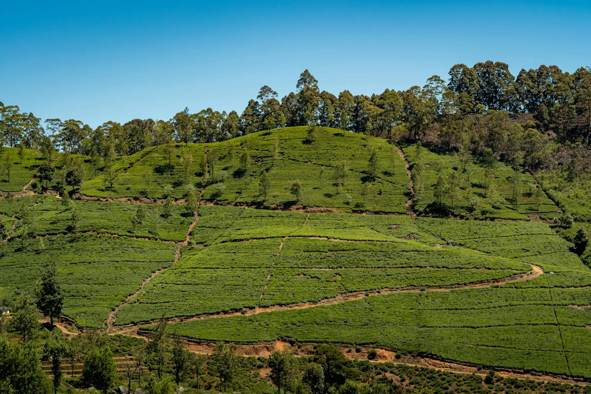 ️ Les environs de Kandy à explorer